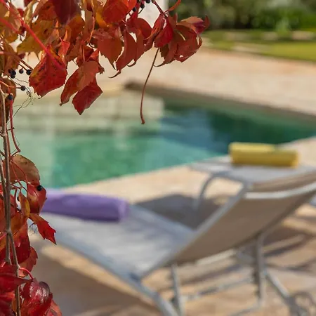 Pensjonat Dimora Dei Semplici Ostuni