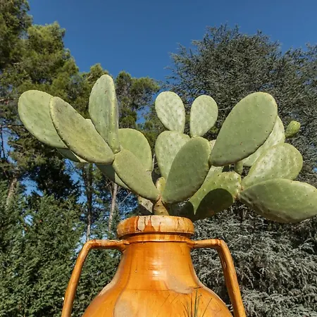 Dimora Dei Semplici Maison d'hôtes Ostuni