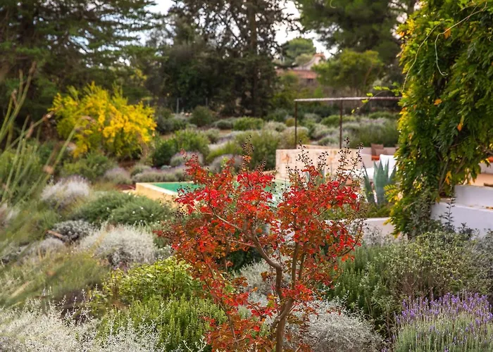 Dimora Dei Semplici オストゥーニ